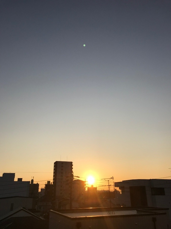 朝陽〜☀️✨