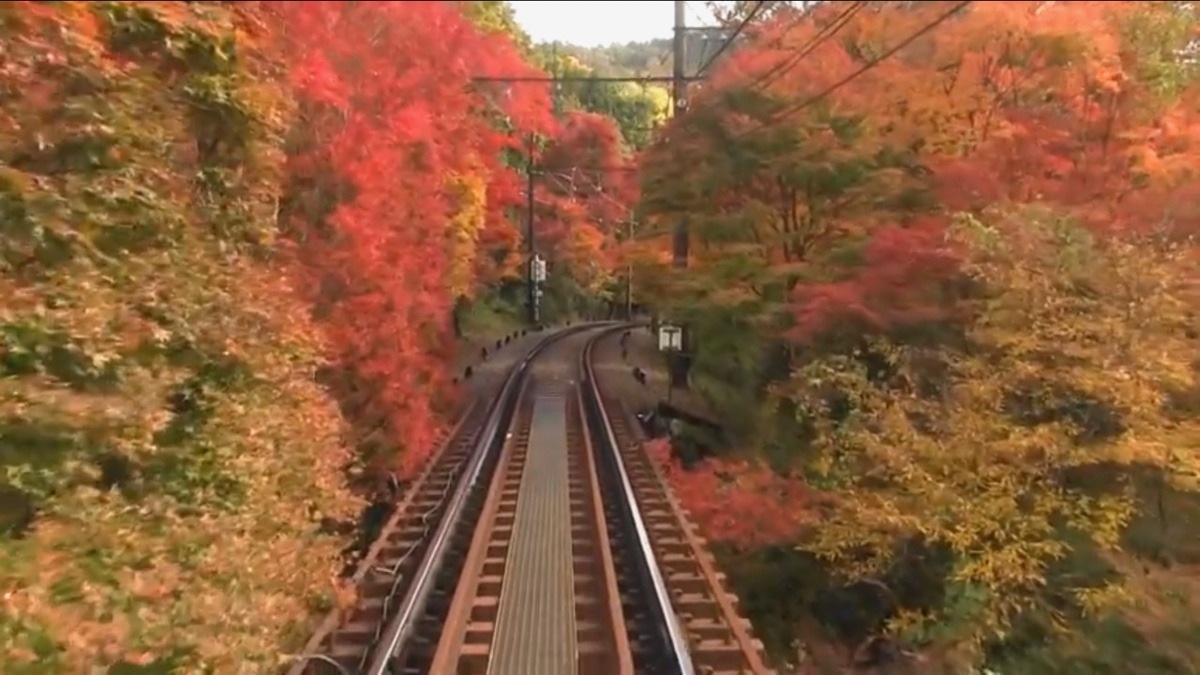 🍁🚃トンネル