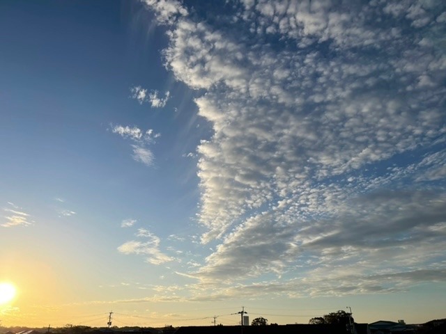 2022/11/24 朝の空