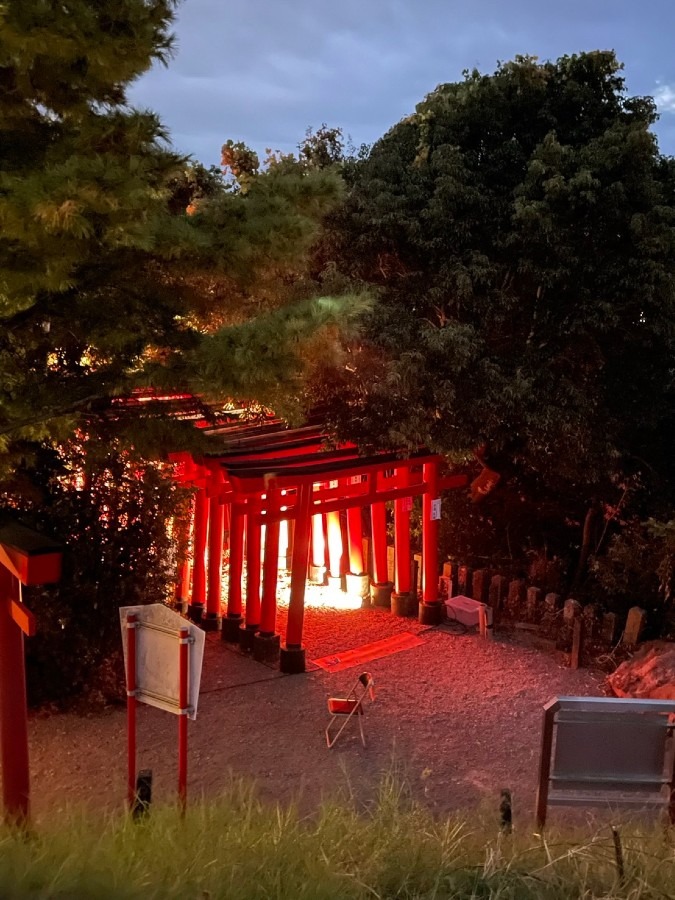 狐の灯火祭り2