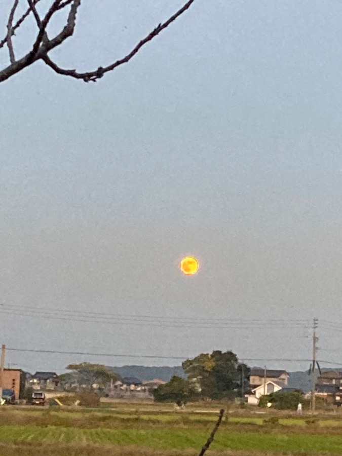 お月様満月🌕