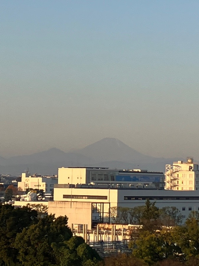 今朝の富士山