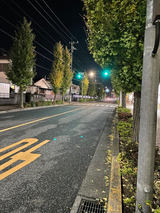 夜の散歩🚶