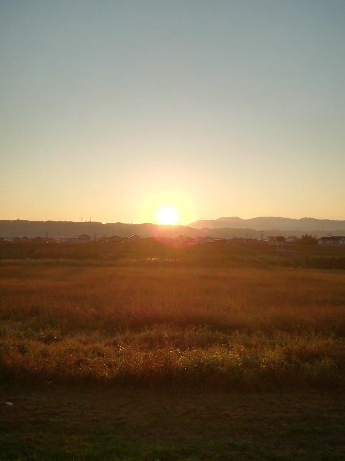 今朝の空