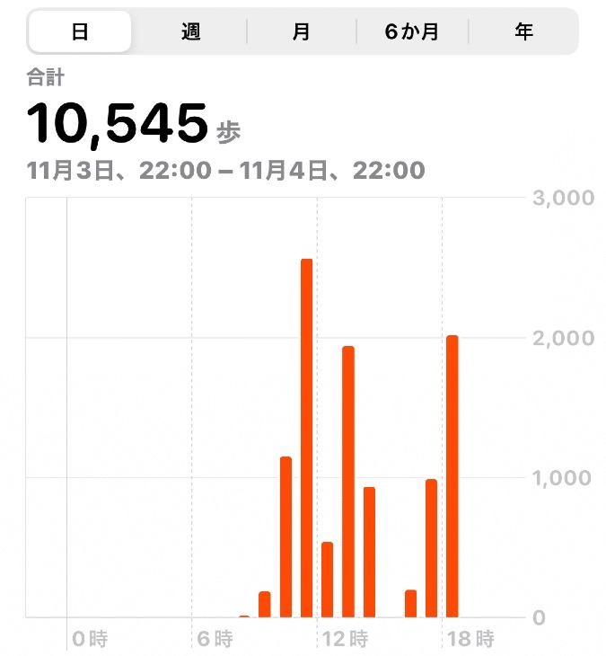 10545歩ウォーキング　11/4