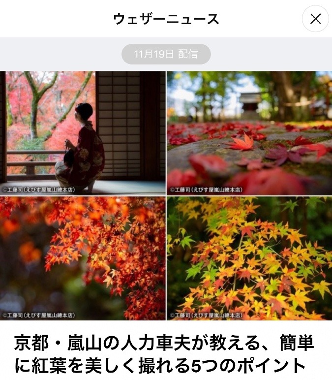 紅葉撮影のコツ