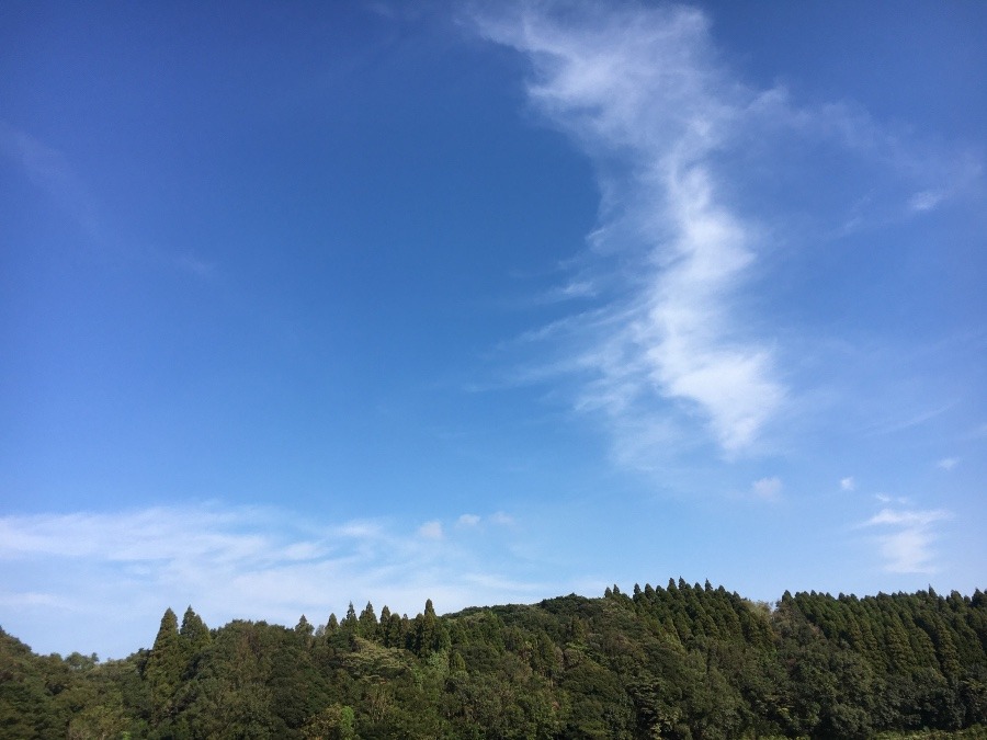 ⭕️空部→   いま空（≧∇≦）‼️272.