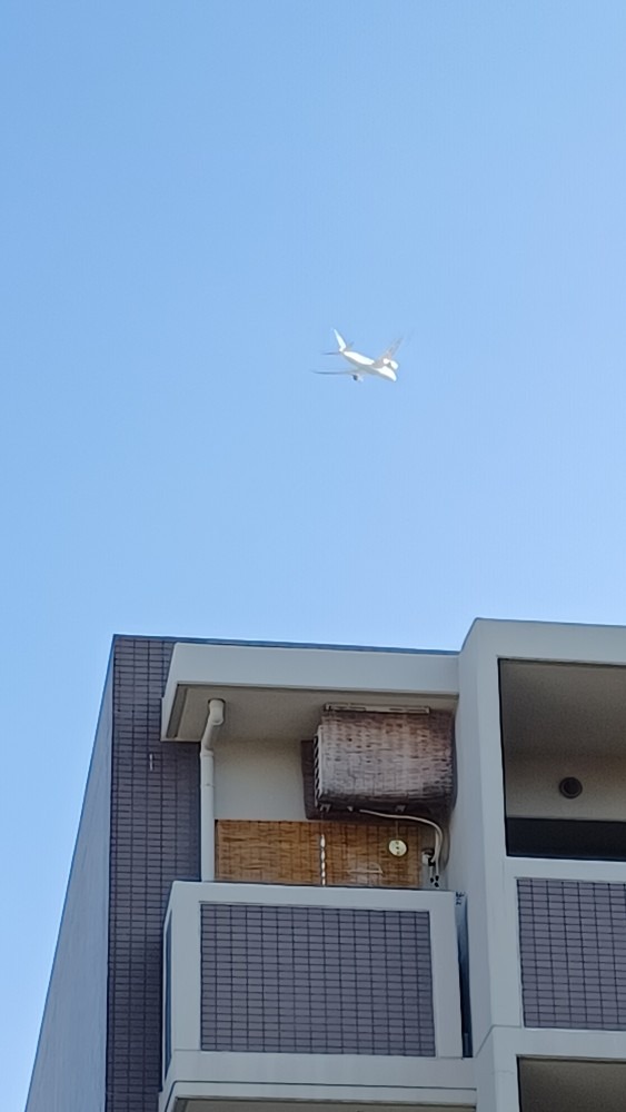 すぐ近くを飛行機が飛びます✈️