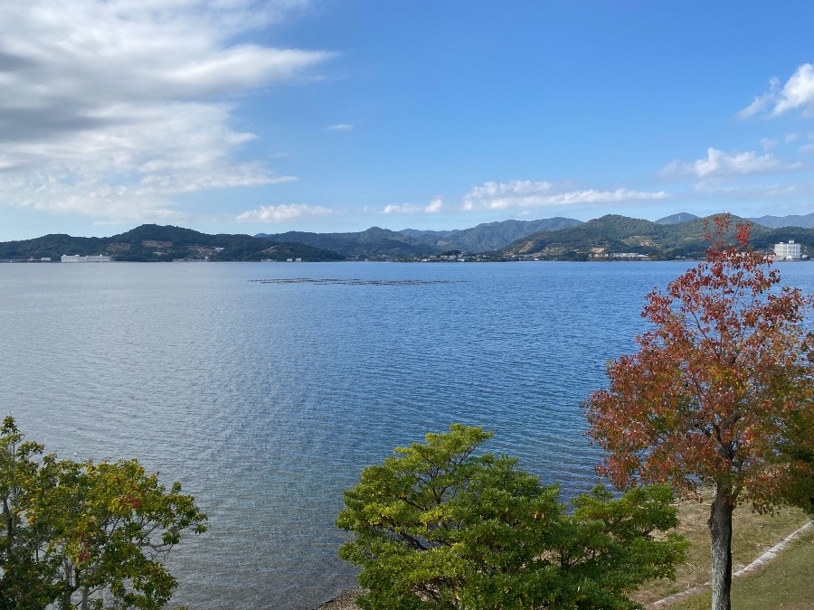 お部屋から見える浜名湖