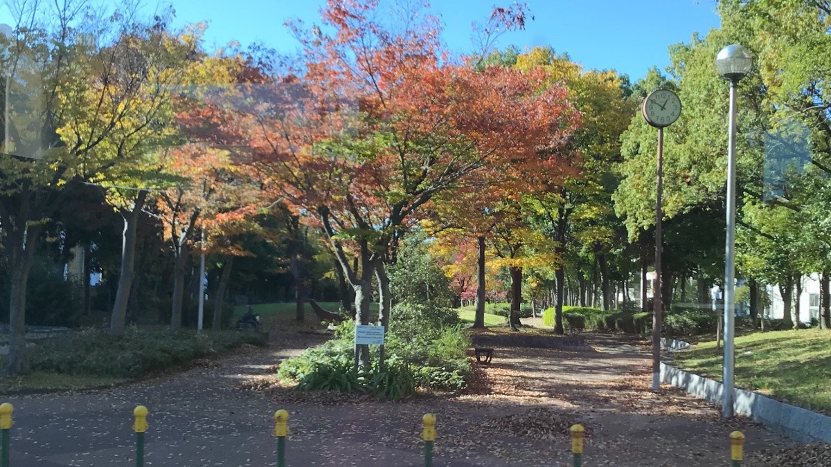 素敵な秋の景色〜🍁🍂