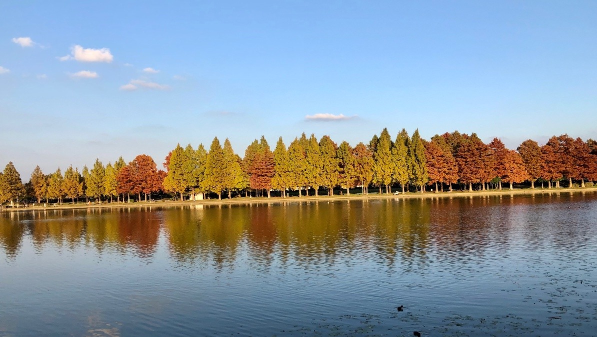 水面に映える紅葉の秋