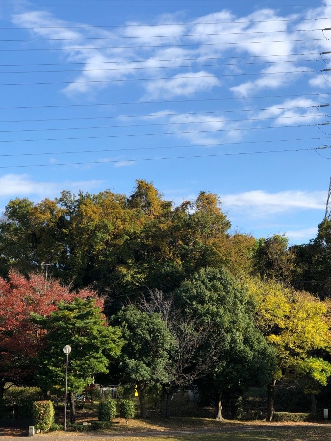 四街道の昼空