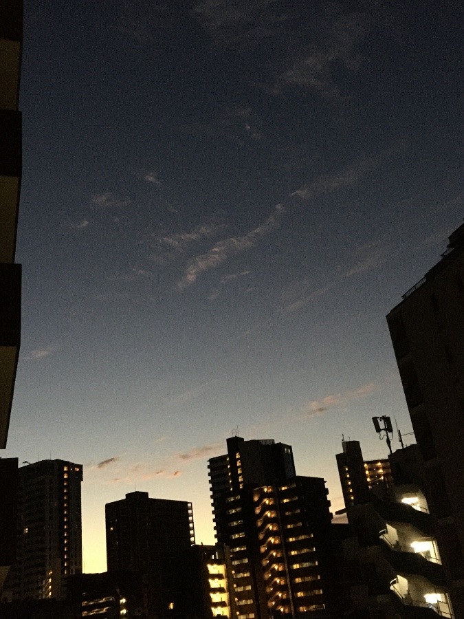 11/4朝空