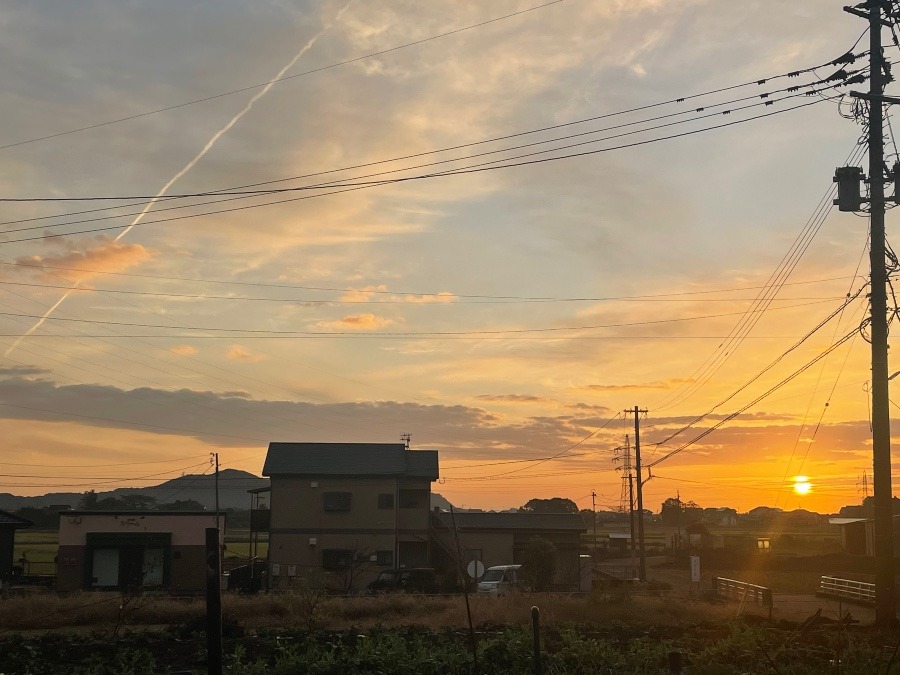 おはようございます🌅