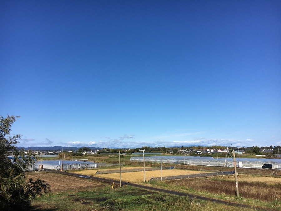 ⭕️空部→   雨が上がった（≧∇≦）‼️252.