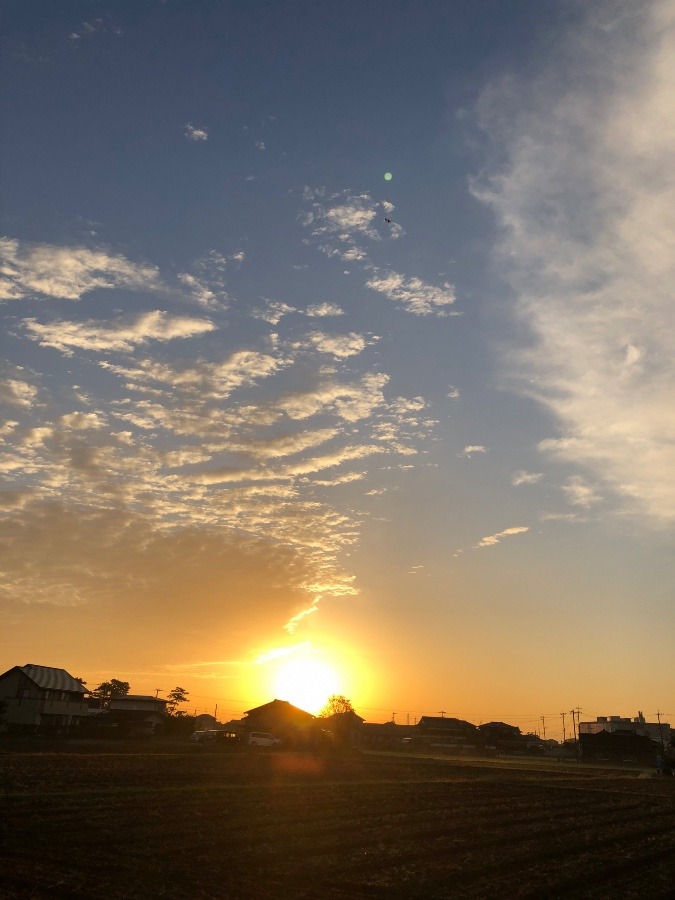 今日の朝陽