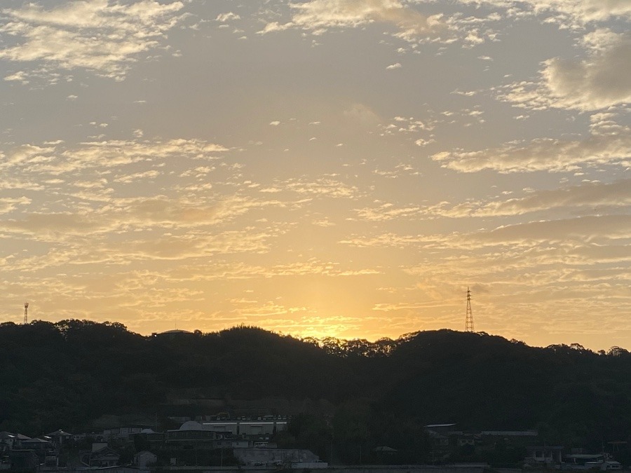 今朝の空　11／28