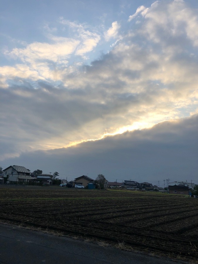 今日の朝陽