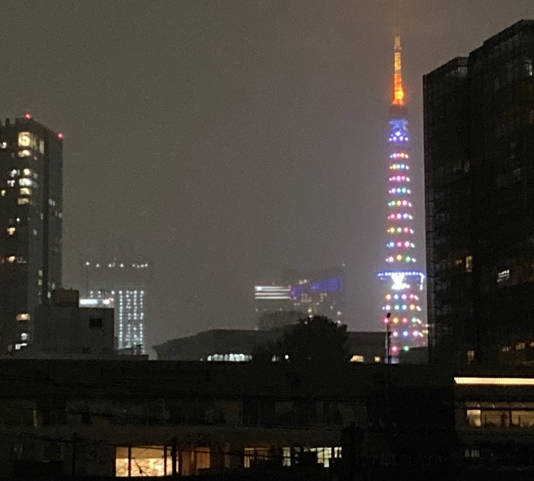 今日の東京タワー🗼