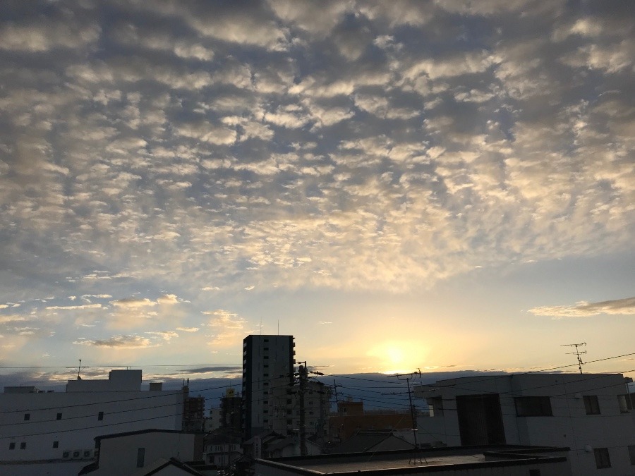 2022年12月1日の朝空〜