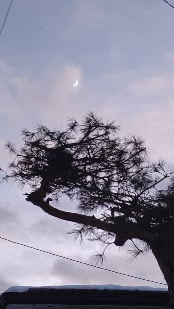 山形の夕べ  4時半の月🌙