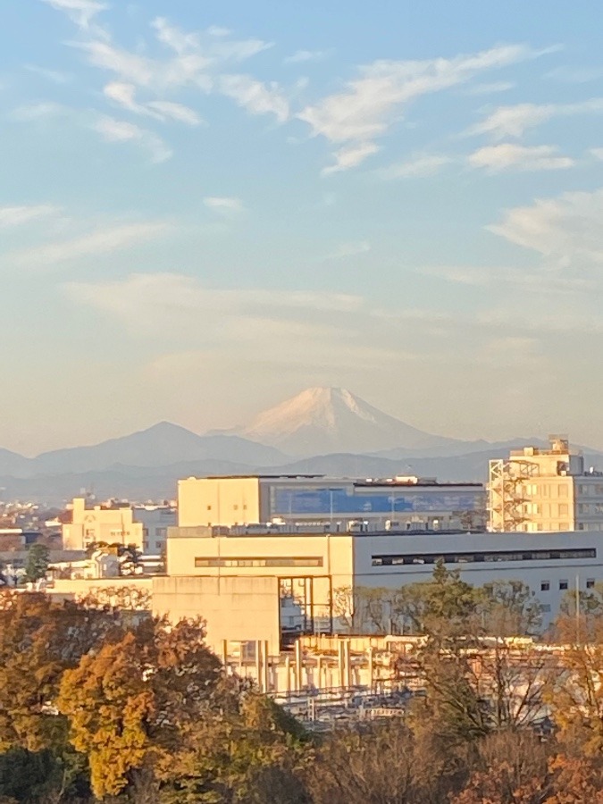 今朝の富士山