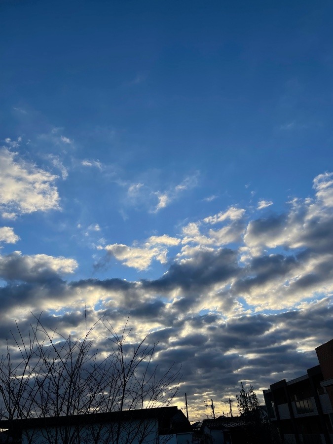 おはようの空