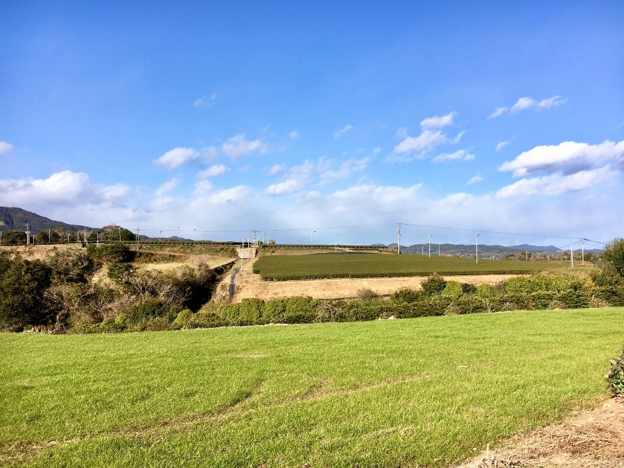 ⭕️児湯郡都農町の自然‼️①(^O^)