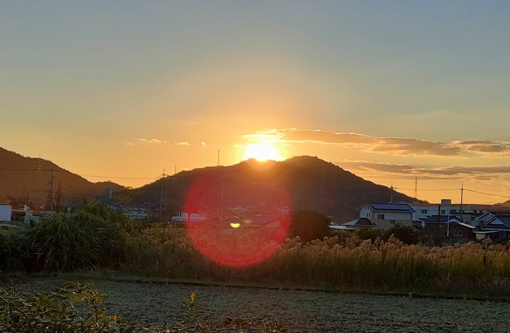 おはようございます♪