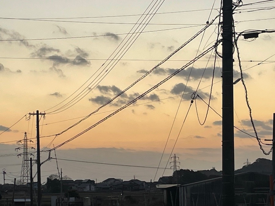 おはようございます🌅