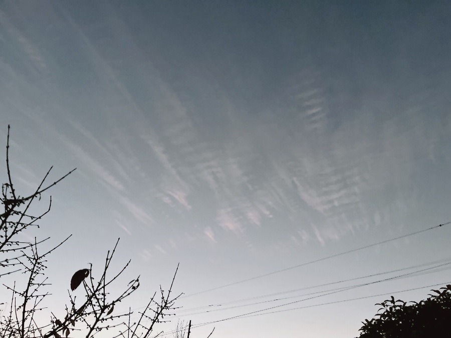 【朝の空】