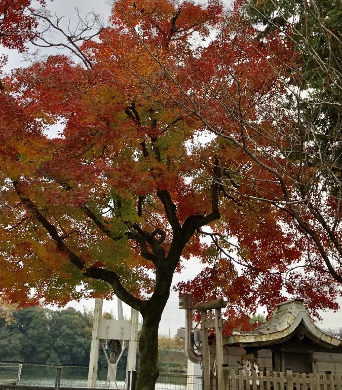 ⛩🍁水神様