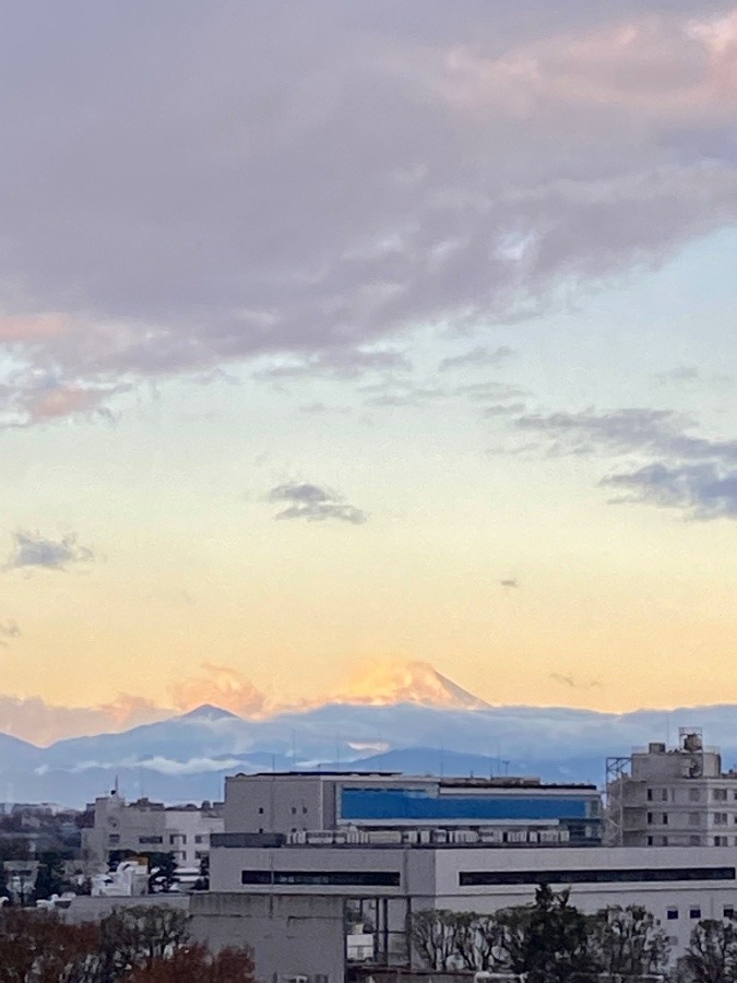 今朝の富士山