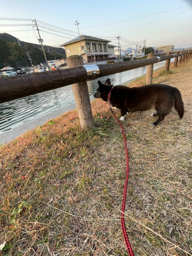 何を見てるんだ⁉️