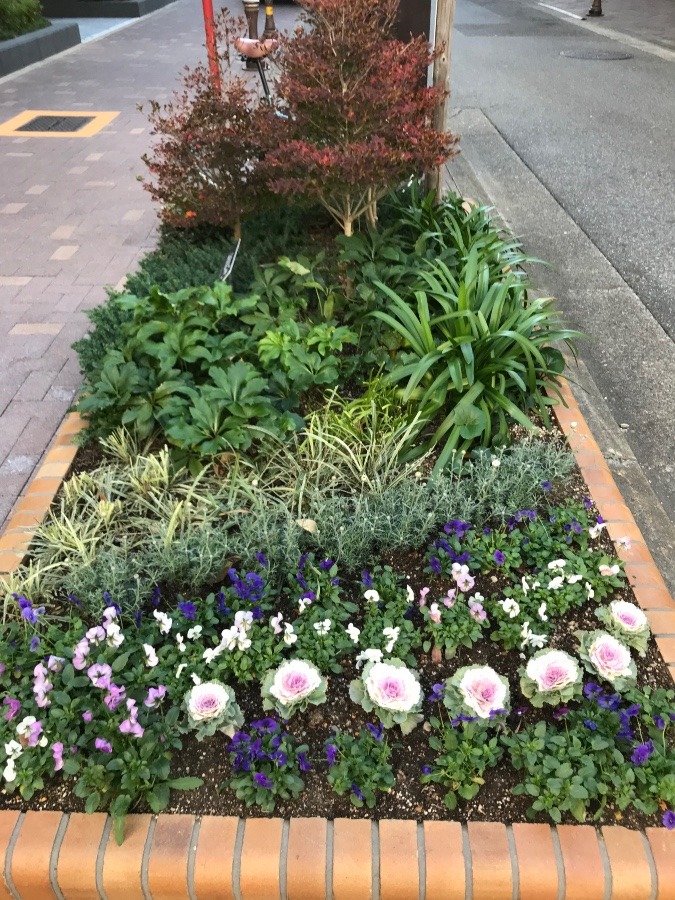 歩道の花壇〜