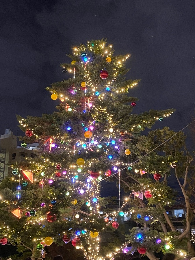 TOKYOミッドタウン六本木のツリー🎄✨