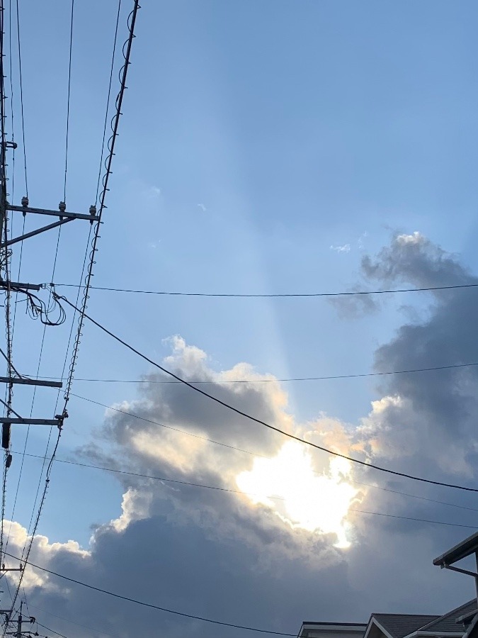 今朝の冬空🌥〜冬至〜