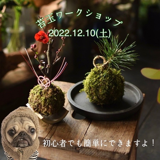 苔玉ワークショップ