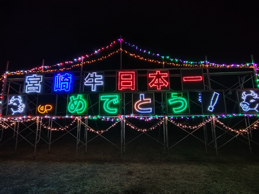 宮崎牛日本一を祝うイルミネーション✨😁