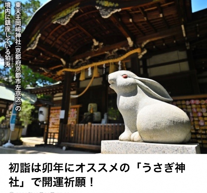 初詣はうさぎ神社で🐇