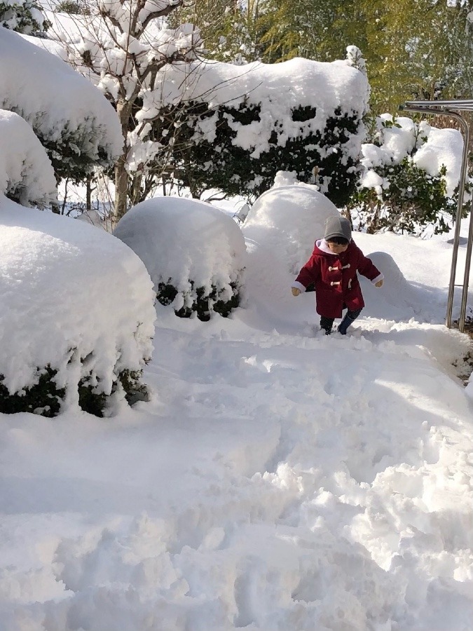 ⛄️遭難しそう