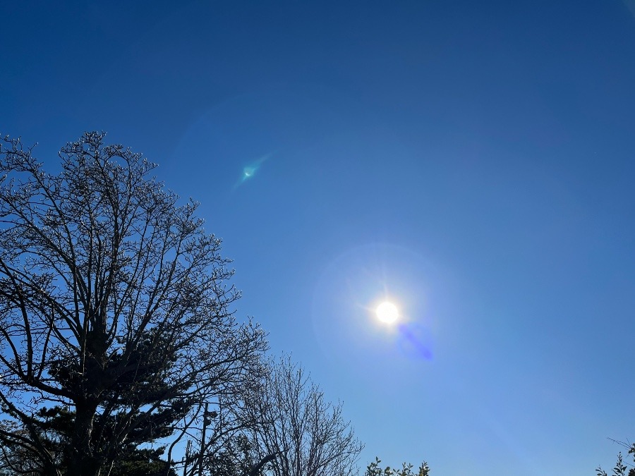 今朝の空