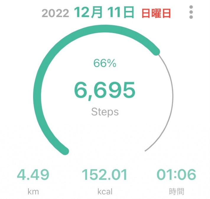 今日のウォーキング👣