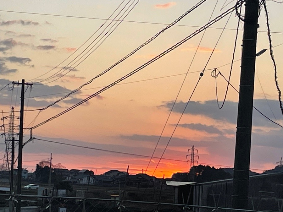 おはようございます🌅