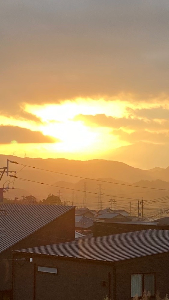 おはようございます❣️