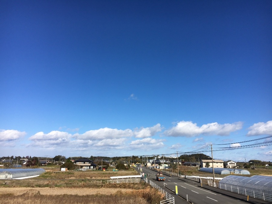 ⭕️空部→ 今日の空（≧∇≦）‼️316.