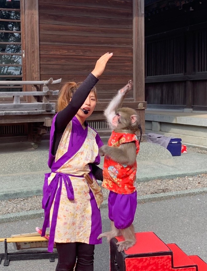 宮地嶽神社境内⛩さる吉の曲芸🐒🙉🐵