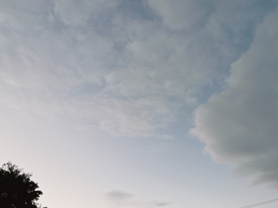 【朝の空】