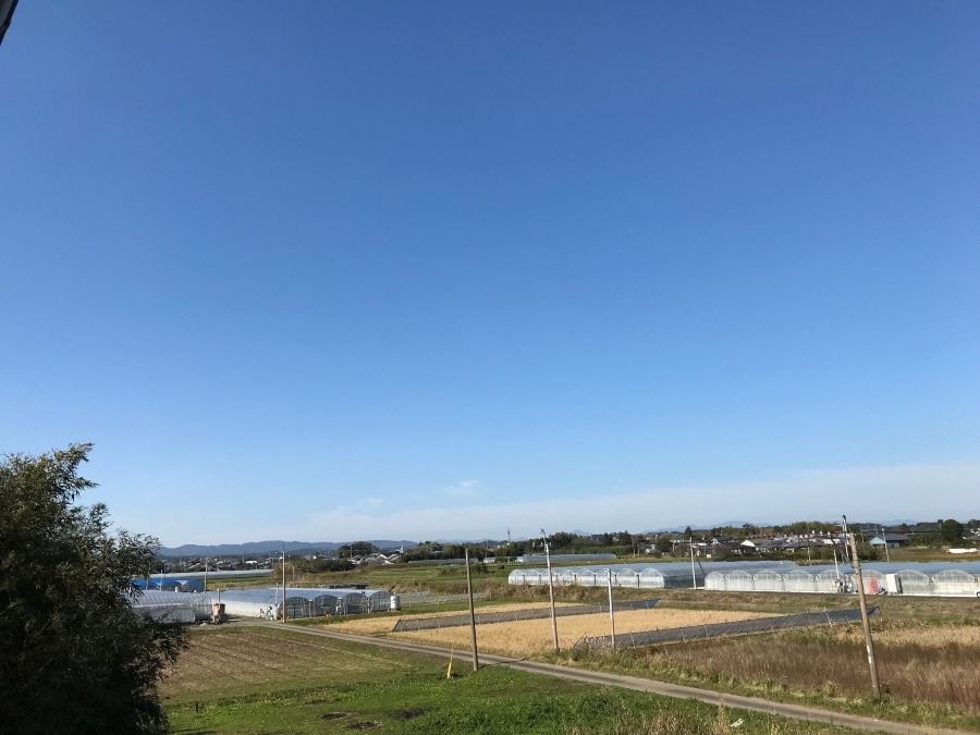 ⭕️空部→   今日の空（≧∇≦）‼️296.