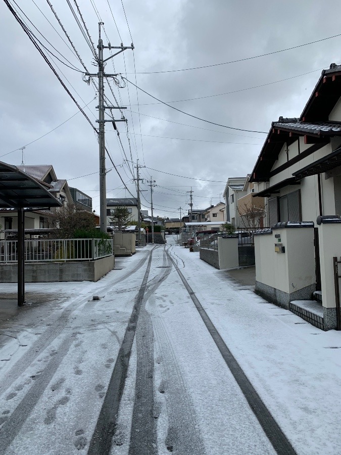 今朝〜雪⛄️〜